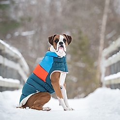 GF Pet Block Color Puffer Dog Coat, Dark Teal, X-Small slide 2 of 8