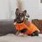 Show in main carousel: GF Pet Camplife Puffer Dog Coat, Orange, Small slide 4 of 8