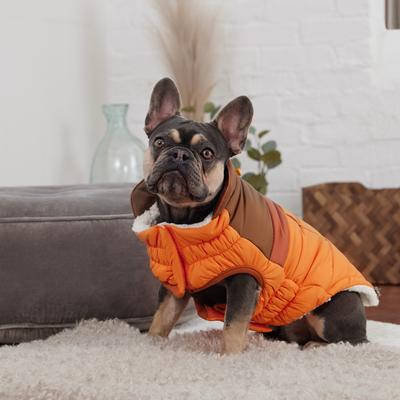 Show full view: GF Pet Camplife Puffer Dog Coat, Orange, Small slide 4 of 8
