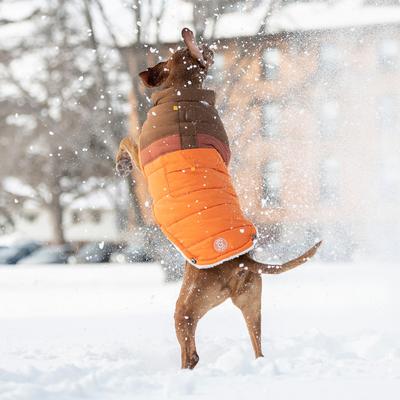 Show full view: GF Pet Camplife Puffer Dog Coat, Orange, XXX-Large slide 6 of 8