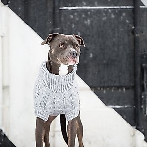 GF Pet Chalet Dog Sweater, Grey, Large