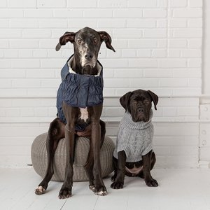 GF Pet Chalet Dog Sweater, Grey, Medium