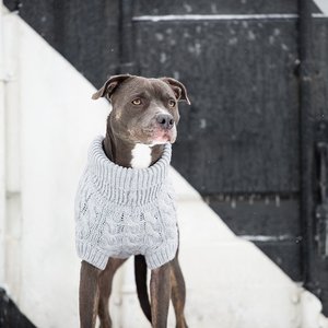 GF Pet Chalet Dog Sweater, Grey, Medium