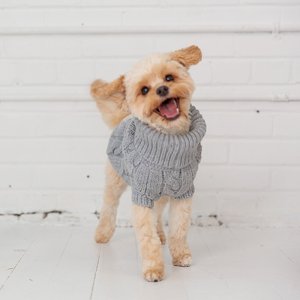 GF Pet Chalet Dog Sweater, Grey, Small