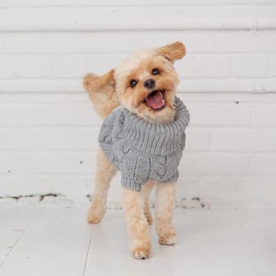 Show full view: GF Pet Chalet Dog Sweater, Grey, XXX-Large slide 4 of 9