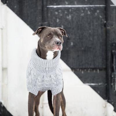 Show full view: GF Pet Chalet Dog Sweater, Grey, XXX-Large slide 6 of 9