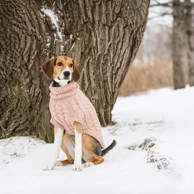 Show full view: GF Pet Chalet Dog Sweater, Pink, Medium slide 4 of 7