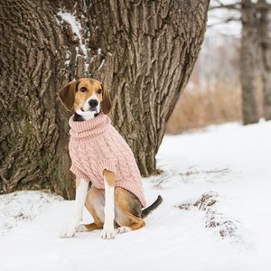 GF Pet Chalet Dog Sweater, Pink, X-Small