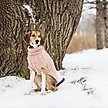 Show in main carousel: GF Pet Chalet Dog Sweater, Pink, XXX-Large slide 4 of 7