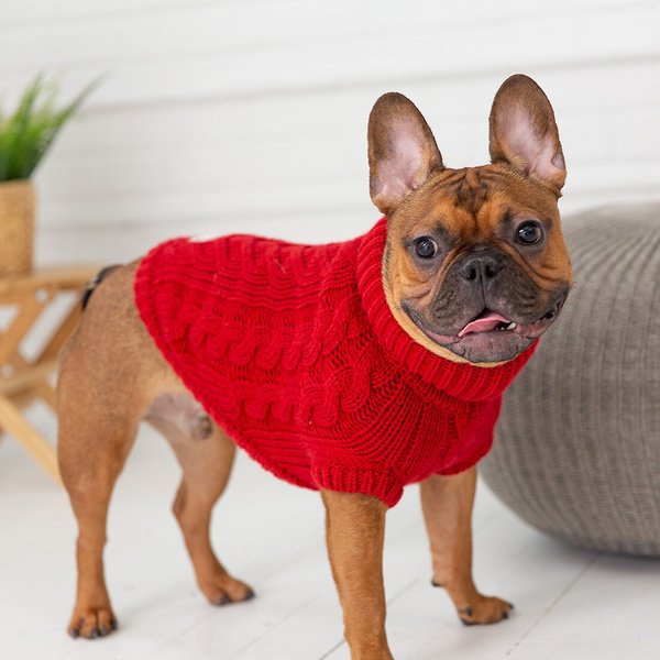 GF Pet Chalet Dog Sweater