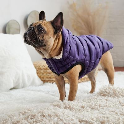 Show full view: GF Pet Cloud Parka Dog Coat, Purple, Large slide 5 of 9