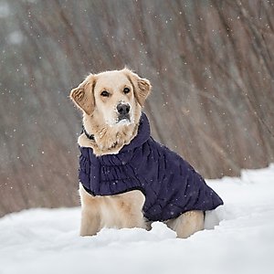 GF Pet Cloud Parka Dog Coat, Purple, Small