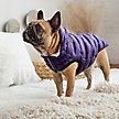 Show in main carousel: GF Pet Cloud Parka Dog Coat, Purple, XX-Small slide 5 of 9