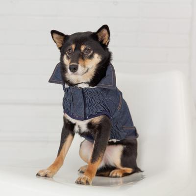 Show full view: GF Pet Denim Dog Jacket, Blue Denim, Small slide 4 of 7