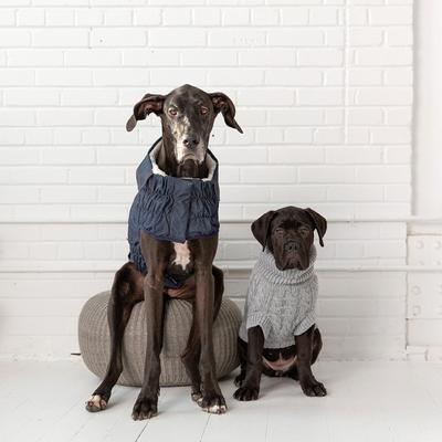 Show full view: GF Pet Denim Dog Jacket, Blue Denim, XX-Large slide 6 of 6