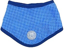 GF Pet Dog Ice Band, Large/X-Large