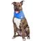 Show in main carousel: GF Pet Dog Ice Band, Large/X-Large slide 4 of 7