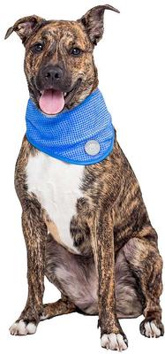 Show full view: GF Pet Dog Ice Band, Large/X-Large slide 4 of 7