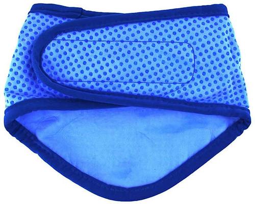 Show full view: GF Pet Dog Ice Band, Large/X-Large slide 5 of 7