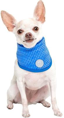 Show full view: GF Pet Dog Ice Band, X-Small slide 3 of 6