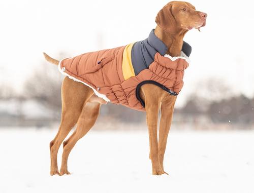 Show full view: GF Pet Elasto-Fit Retro Dog Puffer Coat, Hazel, XX-Large slide 5 of 8