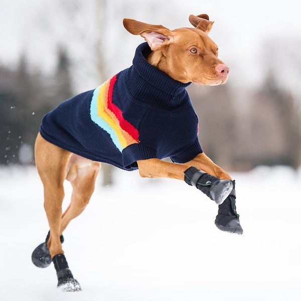 Show full view: GF Pet Elastofit Dog Boots, X-Small slide 4 of 10