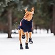 Show in main carousel: GF Pet Elastofit Dog Boots, X-Small slide 5 of 10
