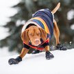 Show in main carousel: GF Pet Elastofit Dog Boots, X-Small slide 6 of 10