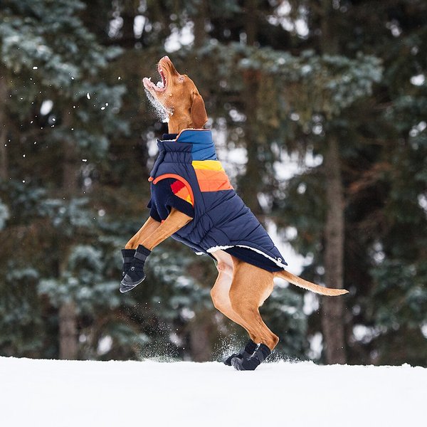 Show full view: GF Pet Elastofit Dog Boots, X-Small slide 8 of 10