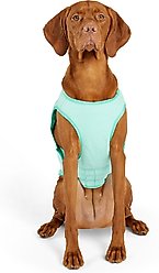 GF Pet Elastofit Dog Ice Vest, Aqua, X-Large