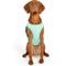 Show in main carousel: GF Pet Elastofit Dog Ice Vest, Aqua, X-Large slide 1 of 9