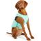 Show in main carousel: GF Pet Elastofit Dog Ice Vest, Aqua, X-Large slide 7 of 9
