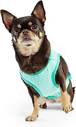 GF Pet Elastofit Dog Ice Vest, Aqua, X-Small