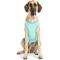 Show in main carousel: GF Pet Elastofit Dog Ice Vest, Aqua, XXXX-Large slide 1 of 8