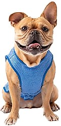 GF Pet Elastofit Ice Dog Vest, Large