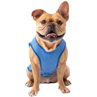 GF Pet Elastofit Ice Dog Vest, Large slide 1 of 4