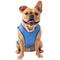Show in main carousel: GF Pet Elastofit Ice Dog Vest, Large slide 1 of 6
