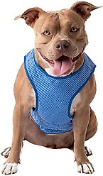 GF Pet Elastofit Ice Dog Vest, X-Large