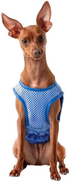 Show full view: GF Pet Elastofit Ice Dog Vest, X-Small slide 1 of 6