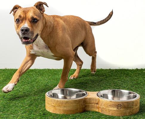 Show full view: GF Pet Figure-8 Cat & Dog Feeder, Large slide 5 of 7