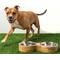 Show in main carousel: GF Pet Figure-8 Cat & Dog Feeder, Medium slide 5 of 7