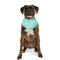 Show in main carousel: GF Pet Ice Band Dog Bandana, Aqua, Large/X-Large slide 7 of 9