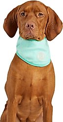 GF Pet Ice Band Dog Bandana, Aqua, X-Small