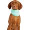 Show in main carousel: GF Pet Ice Band Dog Bandana, Aqua, X-Small slide 1 of 9
