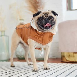 GF Pet Insulated Dog Raincoat, Hazel, Small slide 2 of 6