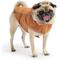 Show in main carousel: GF Pet Insulated Dog Raincoat, Hazel, XX-Small slide 1 of 8