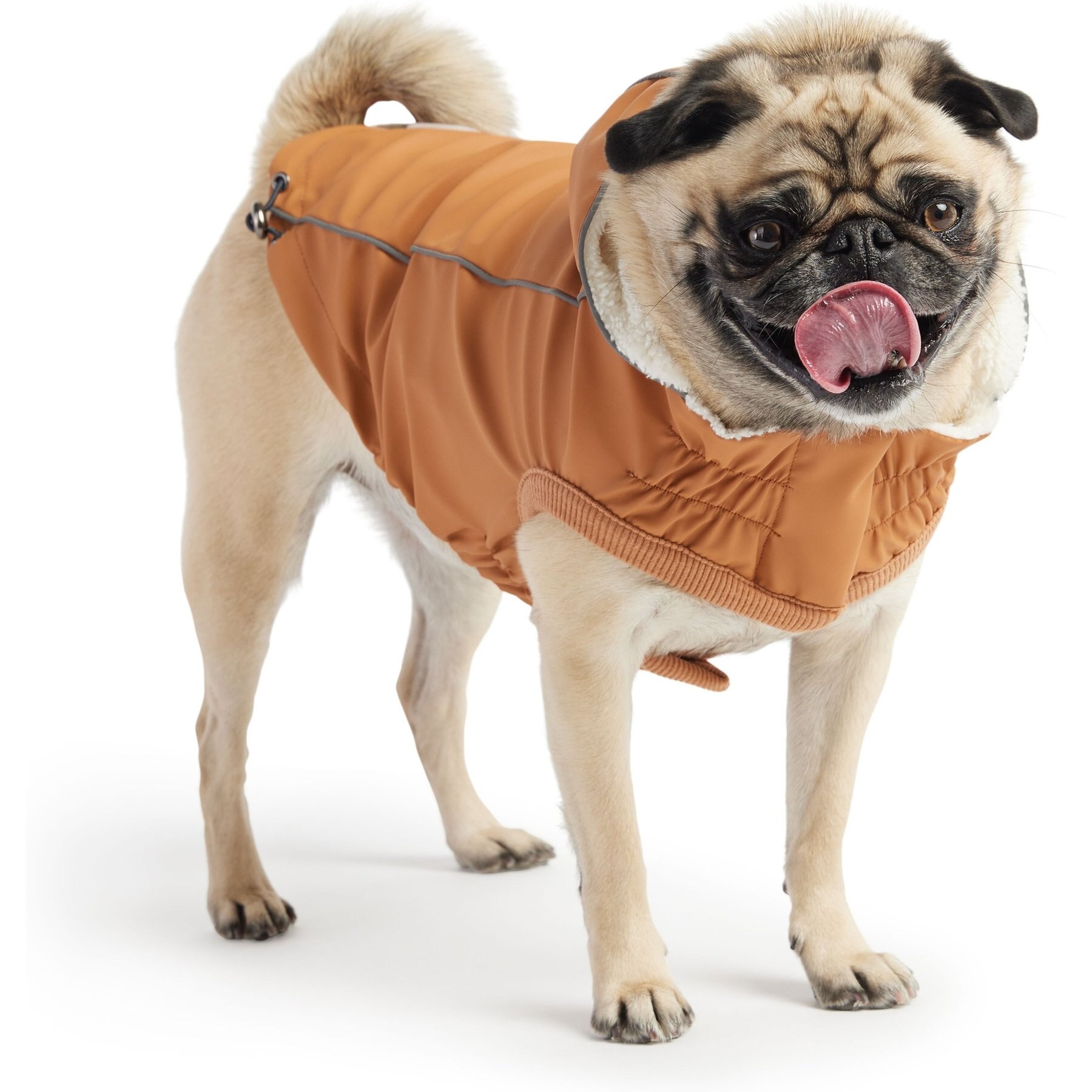 GF Pet Insulated Dog Raincoat, Hazel, XXX-Large