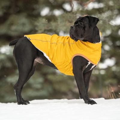 Show full view: GF Pet Insulated Dog Raincoat, Yellow, Small slide 6 of 8