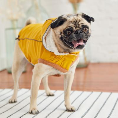 Show full view: GF Pet Insulated Dog Raincoat, Yellow, Small slide 5 of 8