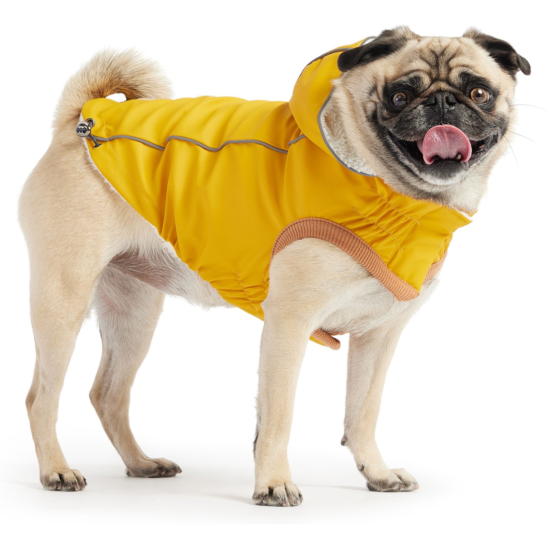 GF Pet Insulated Dog Raincoat, Yellow, XX-Small